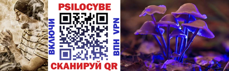 Купить закладки  Звенигово  Галлюциногенные грибы мухоморы 